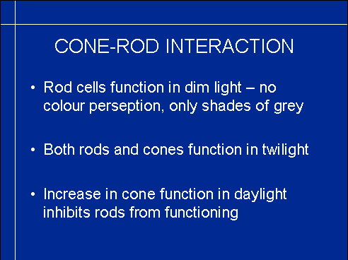 rods and cones functions